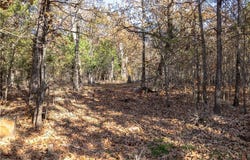 TBD S 4497th RD, Vian, OK 74962