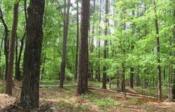 1302 OCONEE DRIVE, Sparta, GA 31087