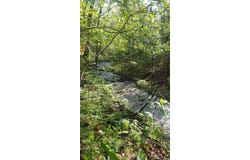 Rodeo Lane, Crane, MO 65633
