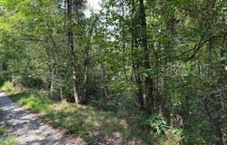 CAMPBELL HILL ROAD, STANLEY, VA 22851