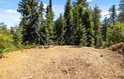 2472 Fanning Grade, BEN LOMOND, CA 95005