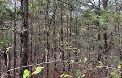 3 Countryside Drive, Dunlap, TN 37327