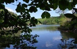 Old Mill Lane, Heathsville, VA 22473
