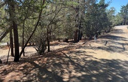 Pierce Ave, Cambria, CA 93428