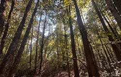 84 Sunrise Trail, Lincolnton, NC 28092