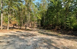 CR 430 (LAFAYETTE COUNTY), PARIS, MS 38949