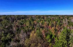 E Broad, Texarkana, AR 71854