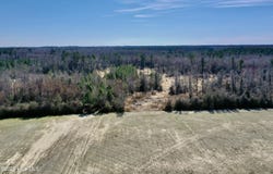 Tract 1 Haynes Lennon Highway, Cerro Gordo, NC 28430