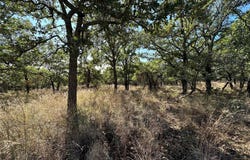 436 Greenbriar Drive, May, TX 76857