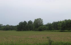 TBD-1 120th Avenue, Ogilvie, MN 56358