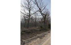 Unincorporated, MO 65565