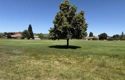 Robert Trent Jones Boulevard, Eagle Point, OR 97524