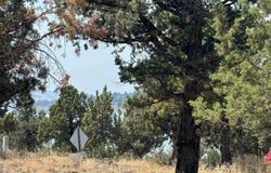 Dwinnell, Weed, CA 96094