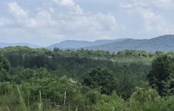 Owl Ridge Way, Sunbright, TN 37872