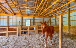 3325 Pack Mountain Road, Murphy, NC 28906