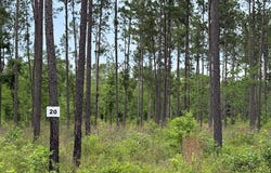 154910 Tract 20 FM 844, Huntington, TX 75949