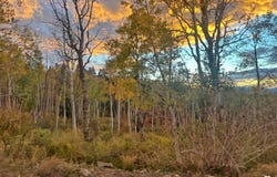 78 PLAT D, SOLDIER SUMMIT ESTATES Dr, Spanish Fork, UT 84660