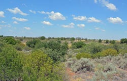 E 1960 Rd, Grandfield, OK 73546