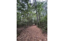 300 Droop Mountain Rd., Hillsboro, WV 24946