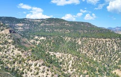 TBD Douglas Pass Road, Loma, CO 81630