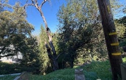 Westover Drive, Oakland, CA 94603