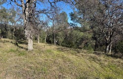 16380 Hillcrest Road, Corning, CA 96021