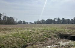 260 Bragaw Lane, Chocowinity, NC 27817
