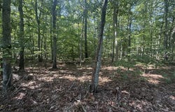 Dixie Hill Rd lot: 5, Buckingham, VA 23921