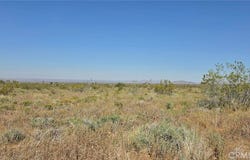 175th St E W10, Llano, CA 93591