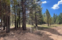 Elk Ridge Estates lot: # 14 Phase 6, Alton, UT 84710