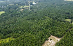 NHN Silver Run-Progress Rd, Perkinston, MS 39573