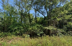 Mccullars Drive lot: 4, Weaver, AL 36277