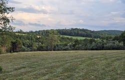 BERRY FARM RD lot: 6, STAUNTON, VA 24401
