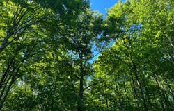 X22 Wysinski Rd., Hurley, WI 54559