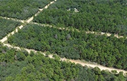 Neilsen Ave, Interlachen, FL 32148