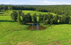 Deer Lodge, TN 37726