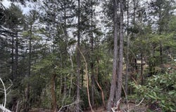 25648 Madrone Drive, Willits, CA 95490