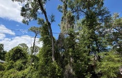 6475 E Seneca Street, Inverness, FL 34452