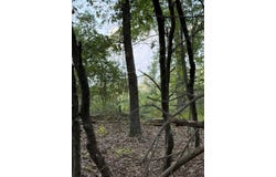 Fire Tower Road, Salley, SC 29137