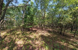 45.86ac County Rd M, Westfield, WI 53964