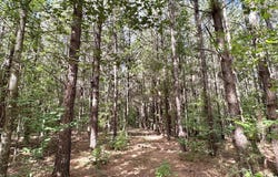 2 Dry Creek Road, Magee, MS 39111
