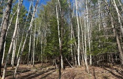 Hardscrabble Rd, North Creek, NY 12853