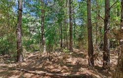 County Rd 3363, De Berry, TX 75639