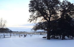48601 S. CR 266, Ringwood, OK 73768