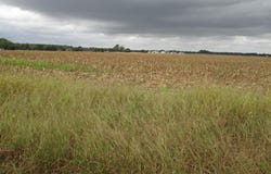 GRAY ROAD lot: 6, DAGSBORO, DE 19939