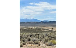 Pickering Avenue, Spring Creek, NV 89815