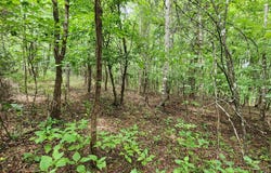 Brooks Mill Rd lot: 6, Glade Hill, VA 24092