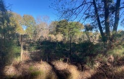 Landry Lane lot: See Survey, Eunice, LA 70535