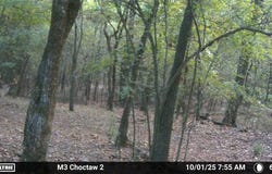 Keota, OK 74941