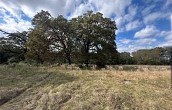 LCR 758, Thornton, TX 76687
